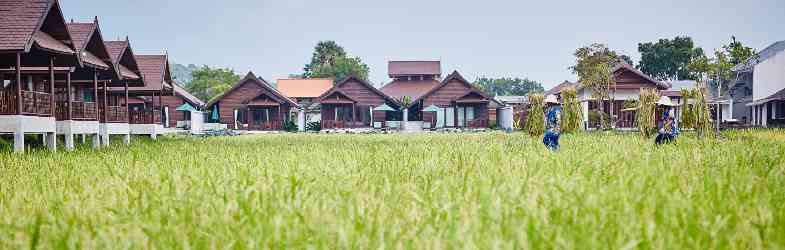 Restaurants & Bars in Ko Samui